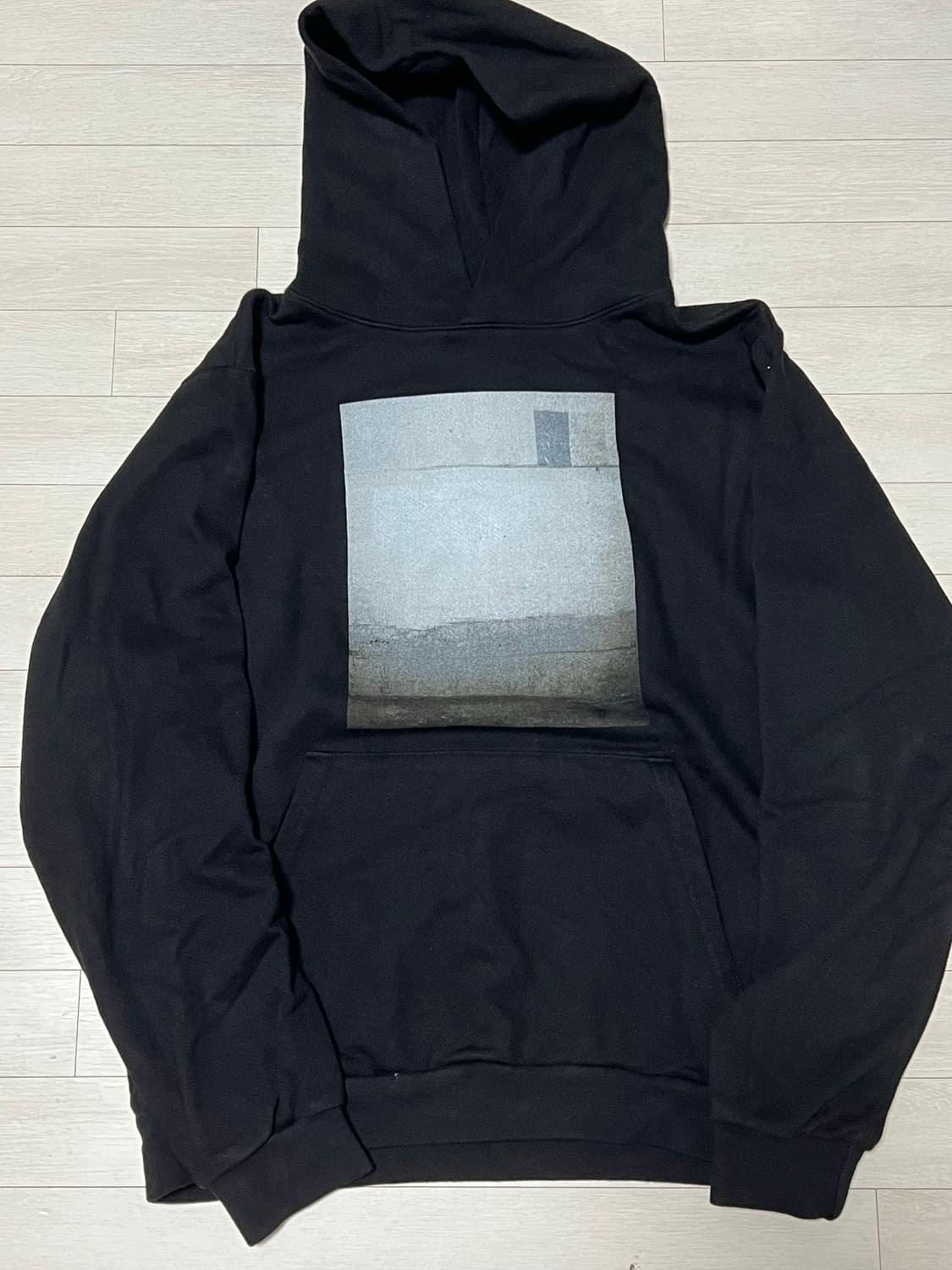 디스트로이 론리 X alyx 후드티 L 상품이미지2