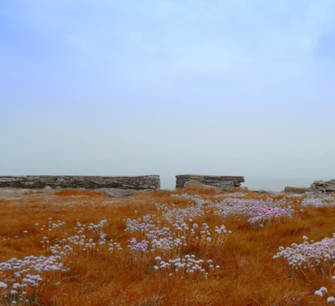 📸 삼성 WB1000 💎 감성 끝판왕 디카 상품이미지9