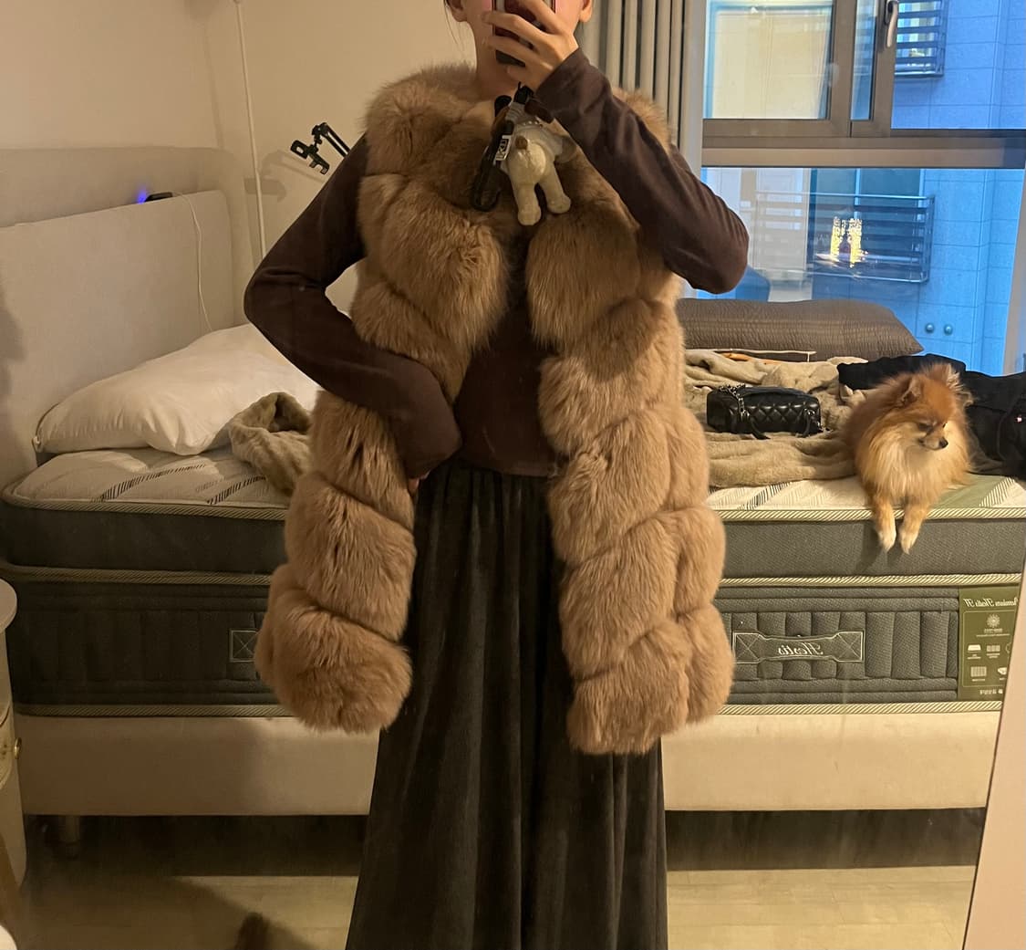 사가폭스 특수컬러 브라운 슈페리어등급 6단 최상급 상품이미지3