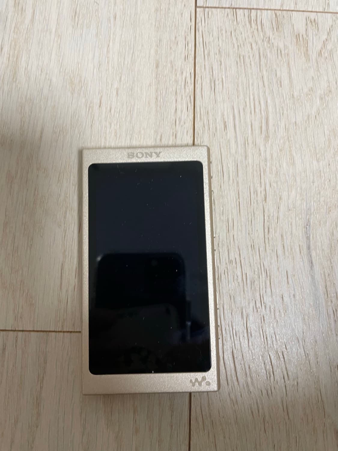 소니 NW-a47 워크맨 상품이미지1