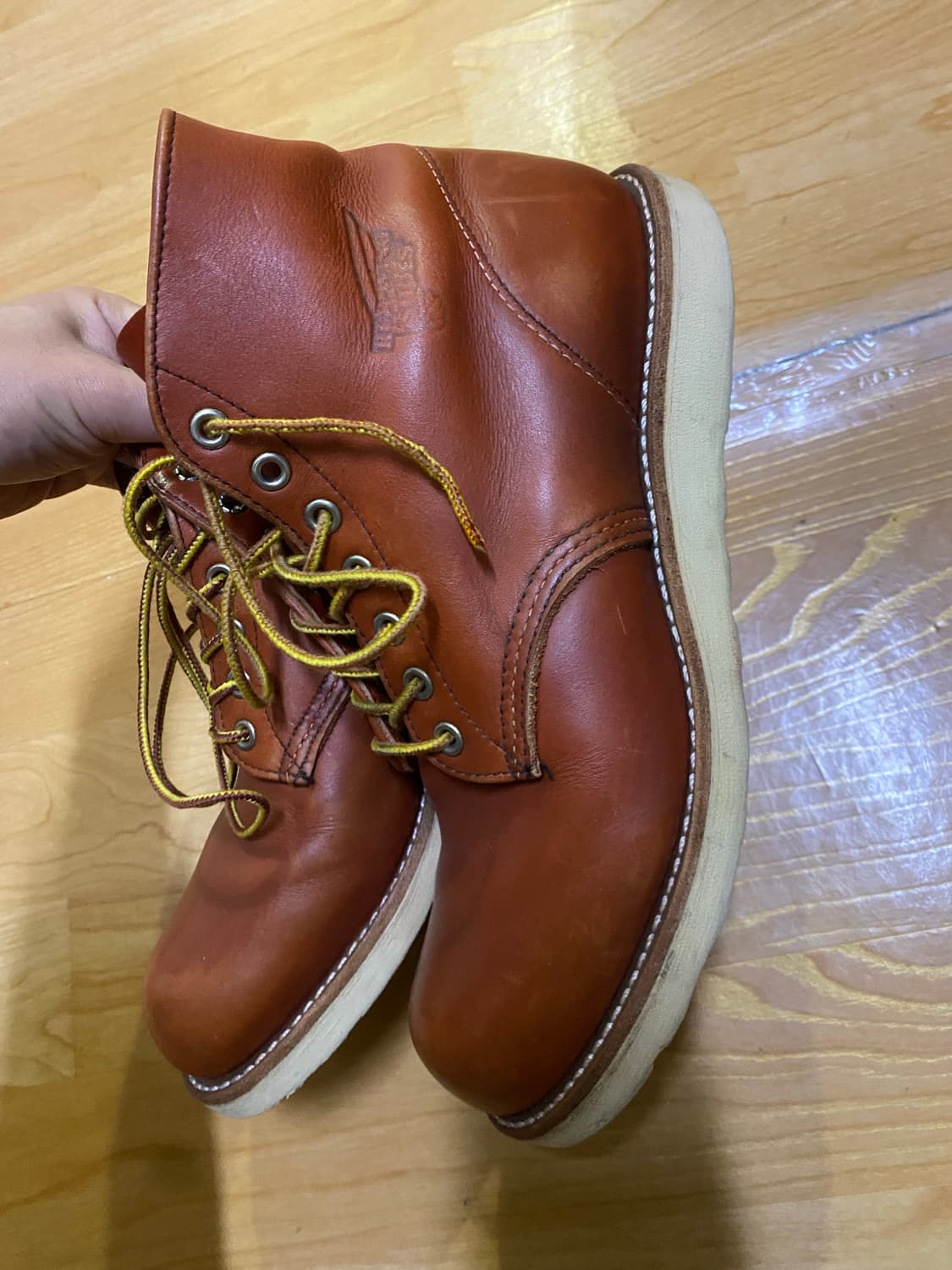 레드윙8166 8D 상품이미지2