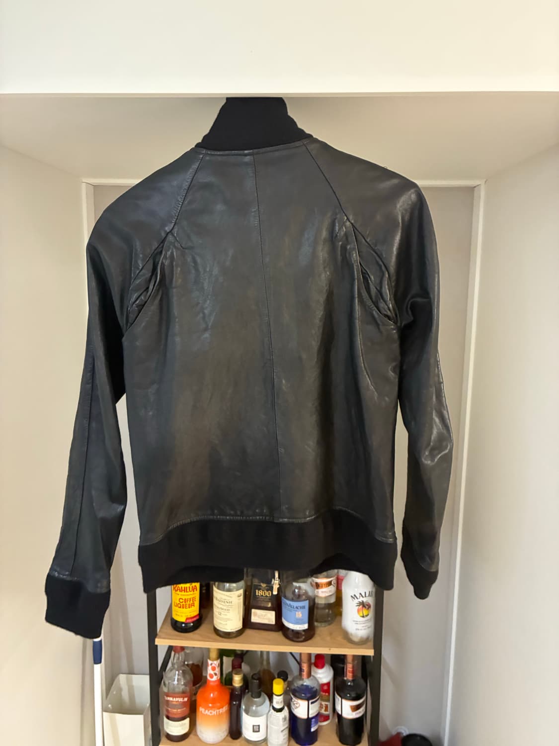 The Viridi-Anne Leather Jacket 46 상품이미지4