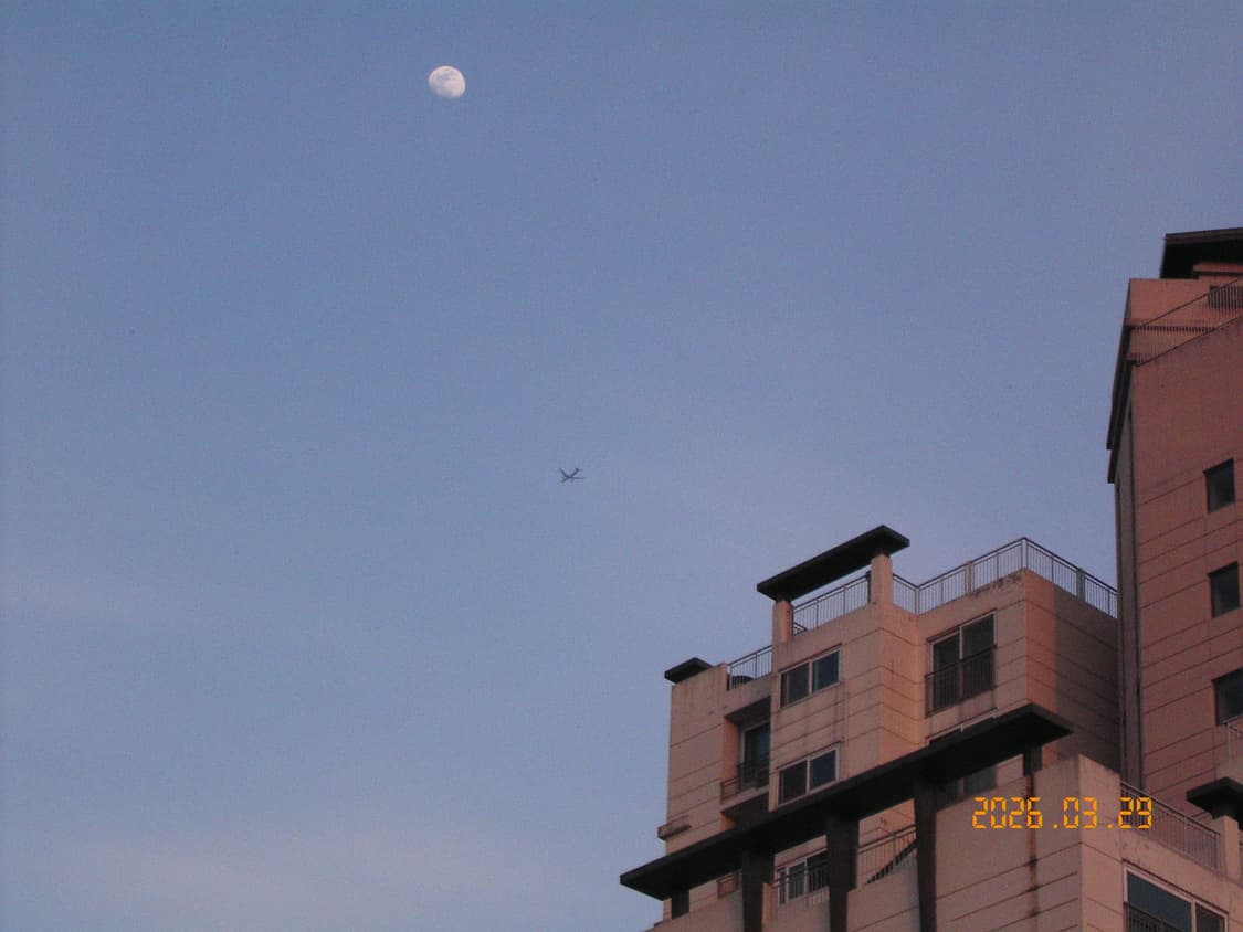 작례 O) Kyocera finecam sl300r 교세라 빈티지 디카 상품이미지1