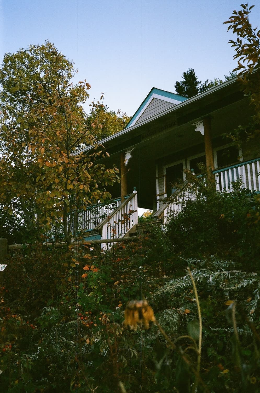 작례O 파스텔 감성 리코 xf-30 슈퍼데이트 필름카메라 빈티지 필카 상품이미지3