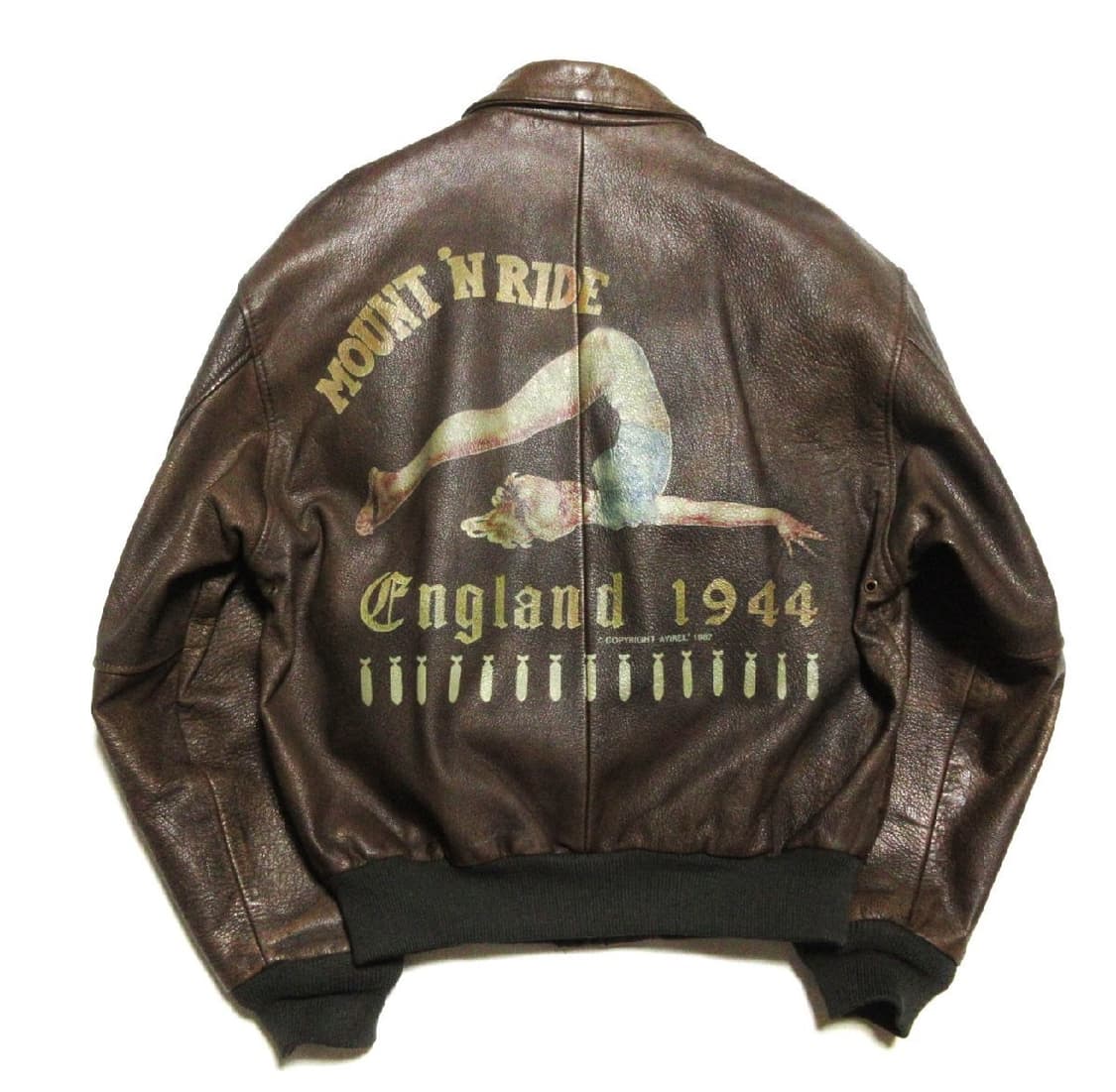 아비렉스 AVIREX A2 핀업 걸 자켓 상품이미지2