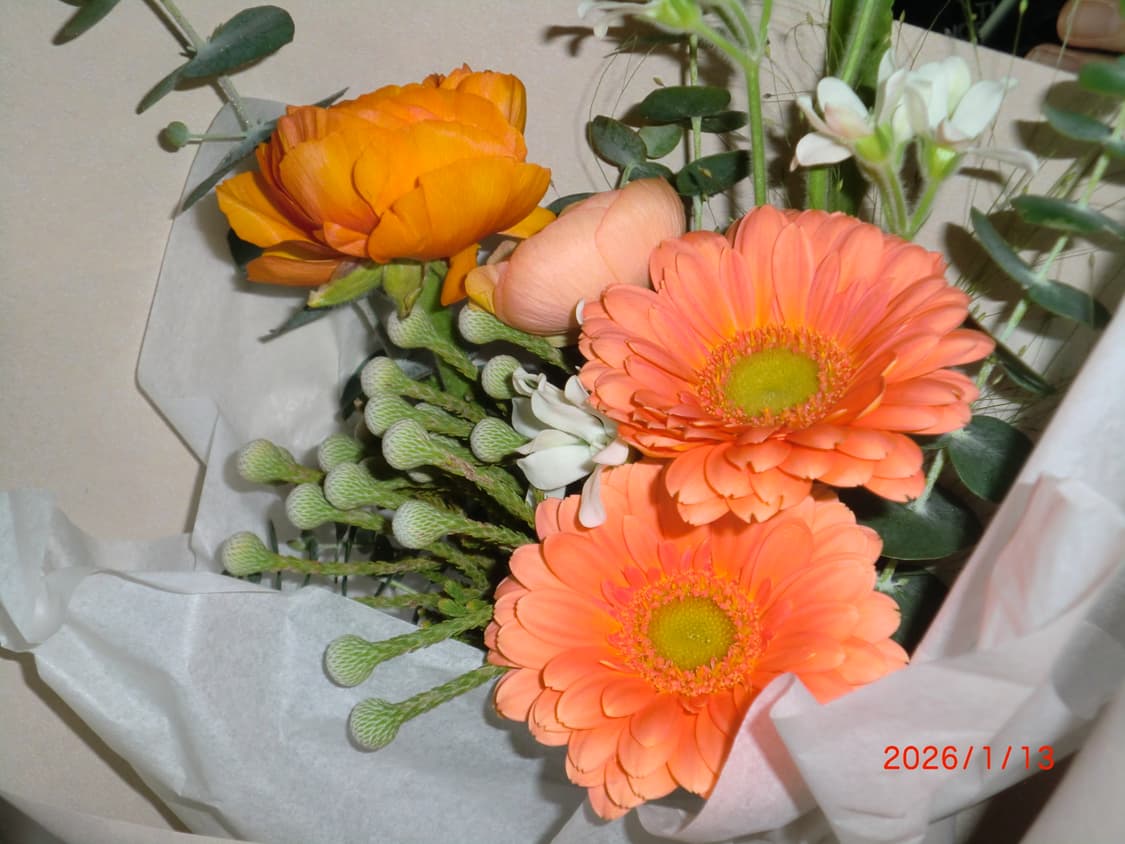 카시오 엑슬림 z550 실버 상품이미지7