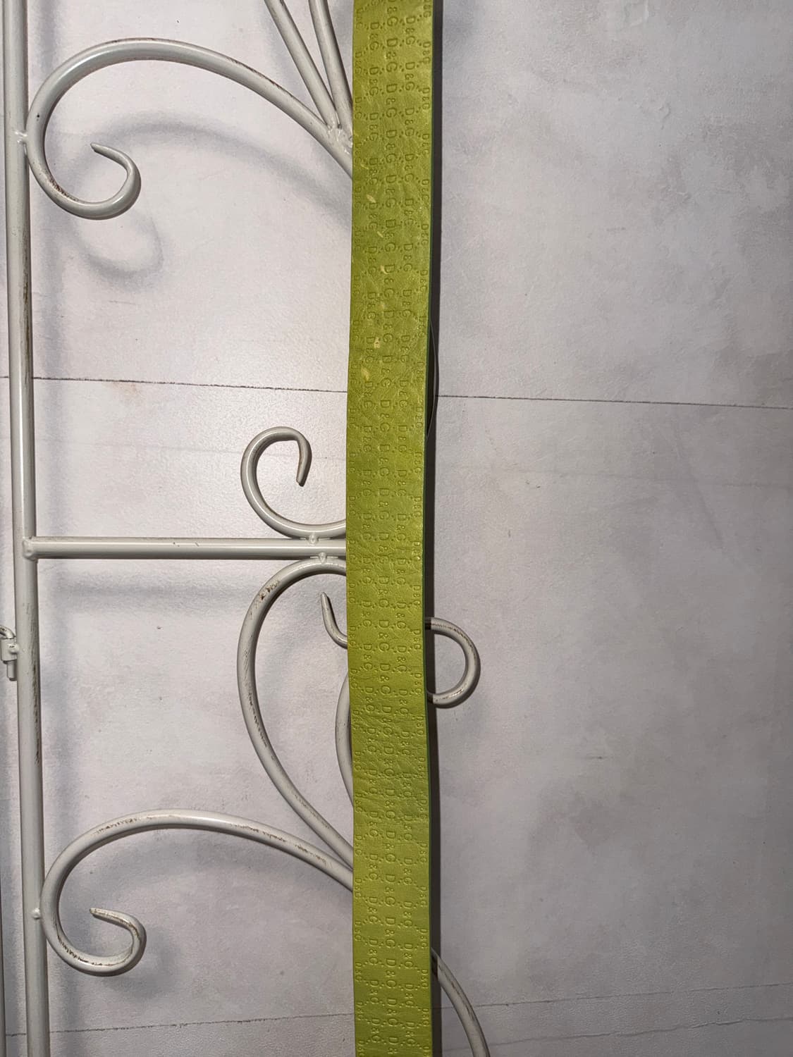 Dolce & Gabbana lime logo buckle belt 상품이미지6