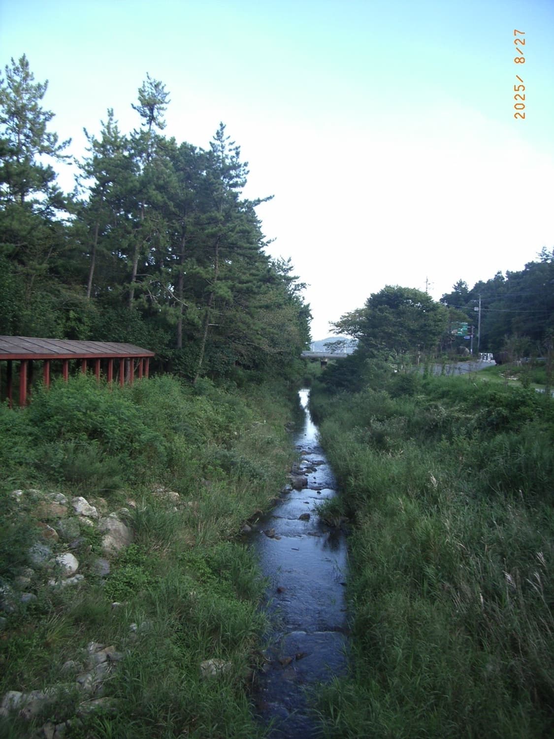 리코 카프리오 R2 디카 (작례O) 상품이미지6