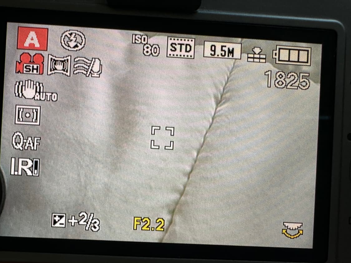 라이카 Leica d-lux5 티타늄에디션 한정판(국내정발모델) 상품이미지7