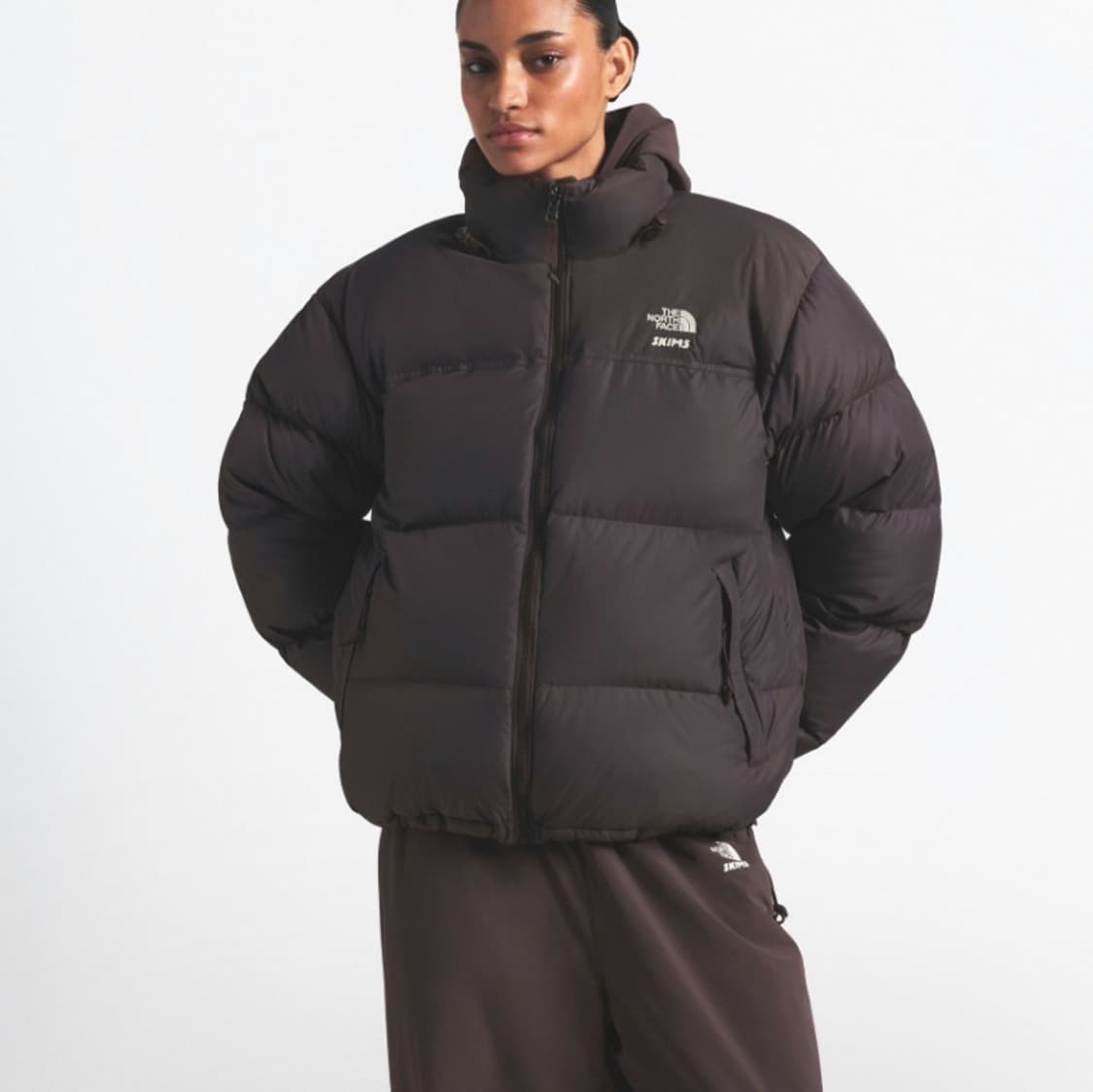 노스페이스 스킴스 콜라보 눕시 1996 상품이미지2