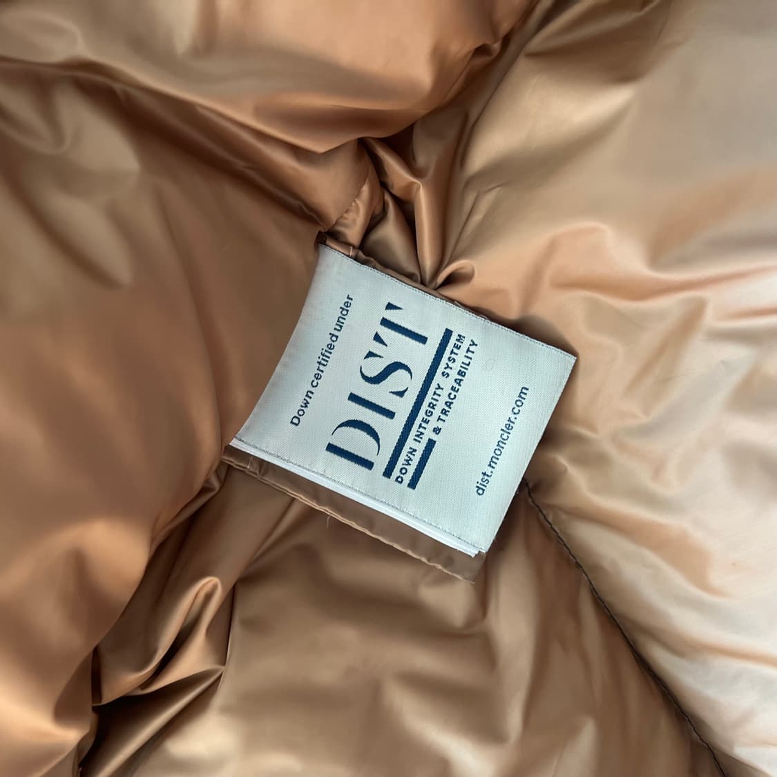 몽클레어 팜엔젤스 아이딜와일드 패딩 상품이미지6