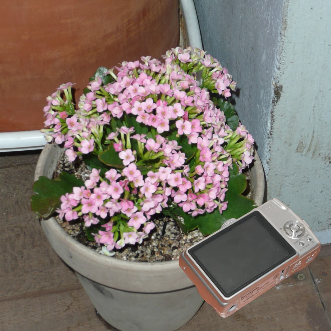 Lumix TZ3(🎁풀패키지/✨민트급) 상품이미지5