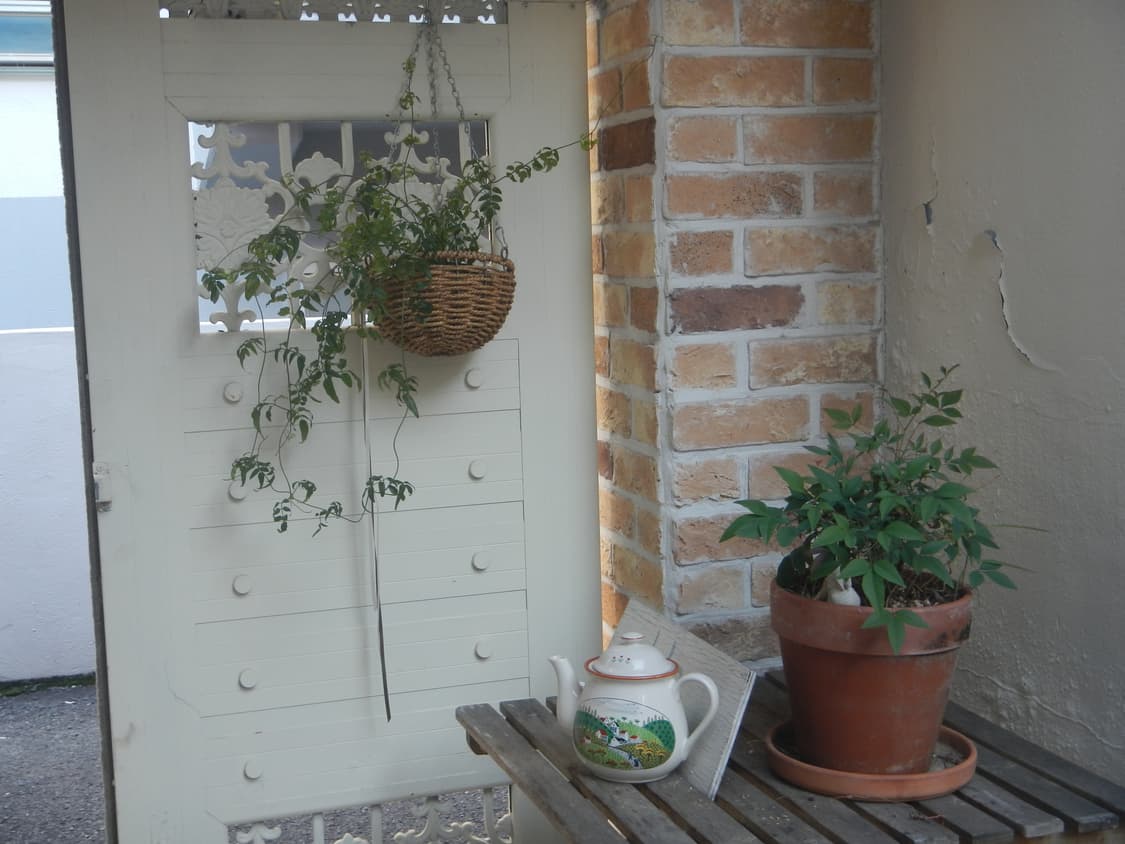 (작례 ㅇ) 니콘 쿨픽스 AW100 주황 방수 디지털 카메라 상품이미지9