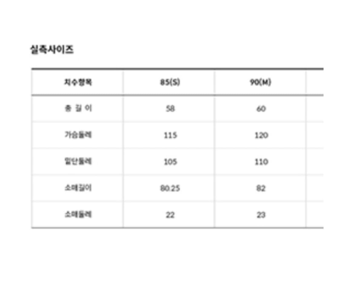 노스페이스 화이트라벨 퍼피 EX RDS 다운 자켓 상품이미지4