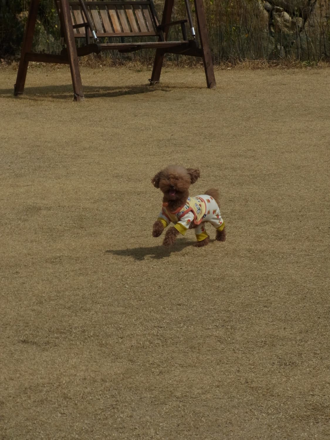 ricoh cx5 작례O 상품이미지8