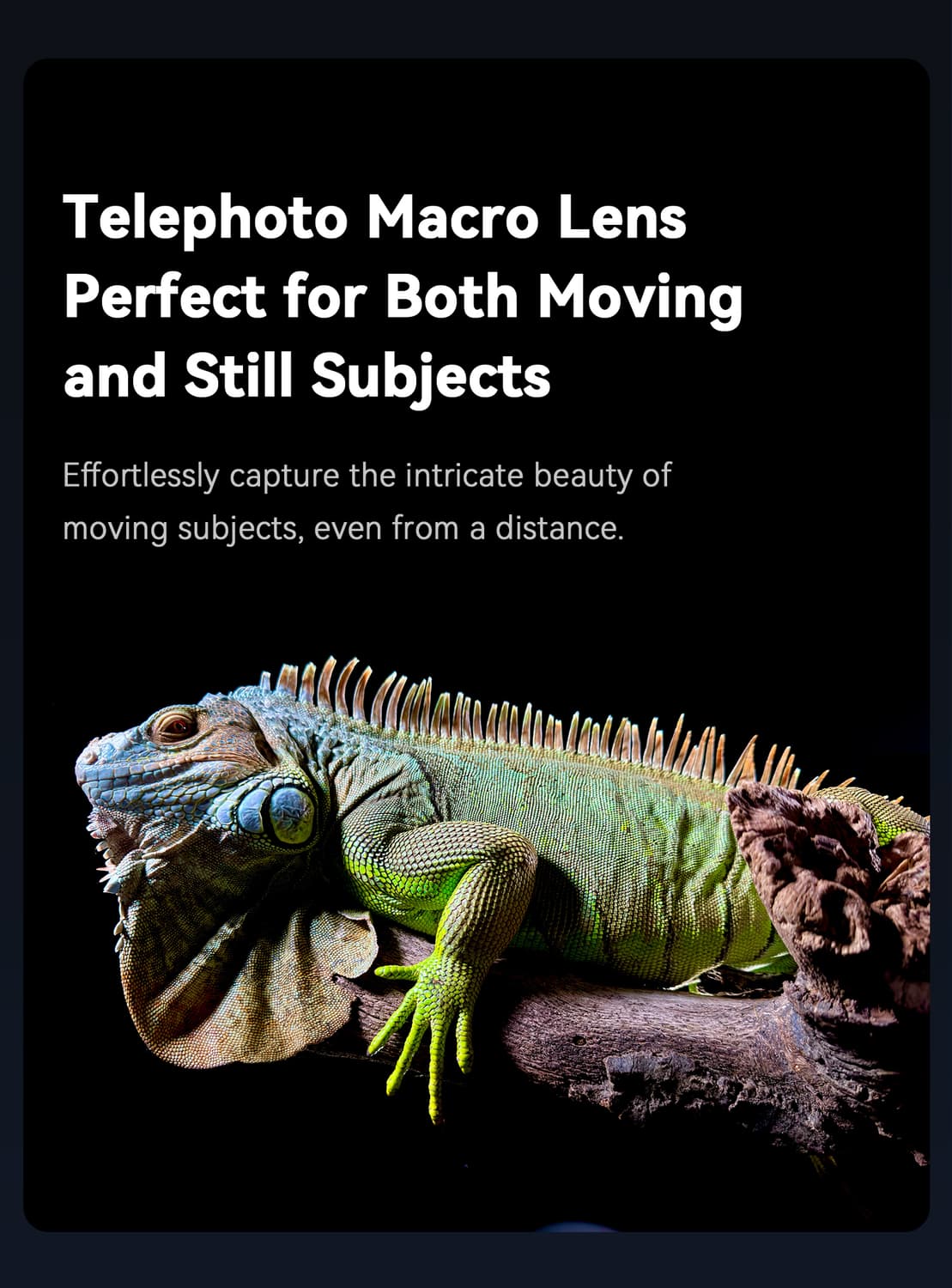 애플 삼성 휴대폰 스마트폰 망원경 렌즈 상품이미지3