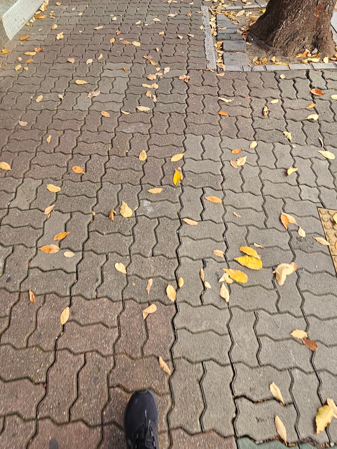 완료 상품이미지1