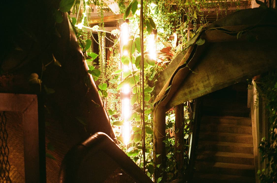 케녹스 70qs 밀레니엄 에디션 필름카메라 빈티지 필카 상품이미지2