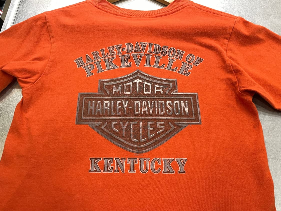 (S) USA Harley Davidson 할리 프린팅 반팔티 상품이미지9