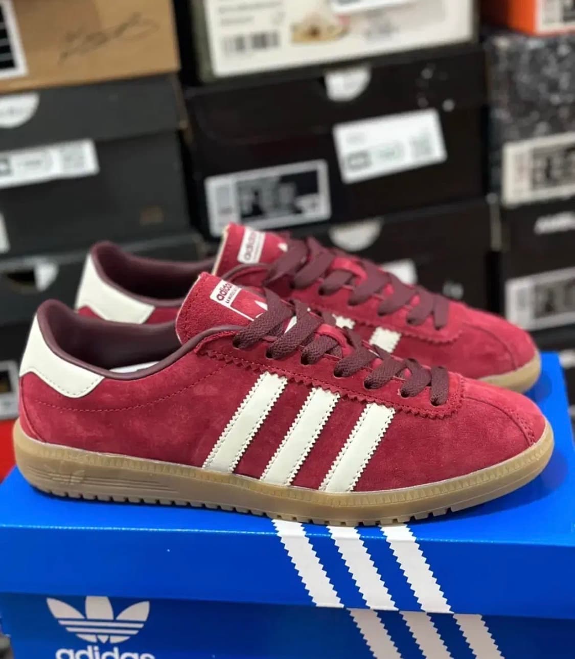 아디다스 버뮤다 컬리지 버건디 레드 상품이미지1