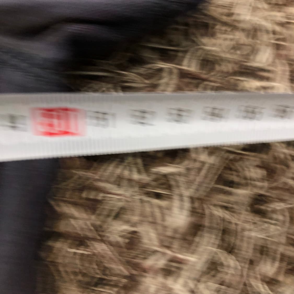 L 버커루 Y2K 오리엔탈 펑크 티셔츠 상품이미지6