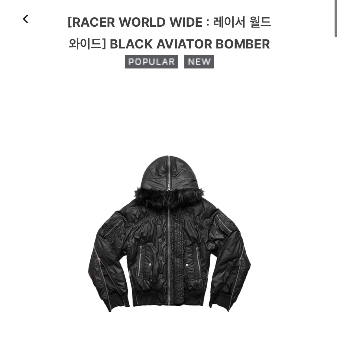 레이서 월드와이드 BLACK AVIATOR BOMBER (L) 상품이미지1