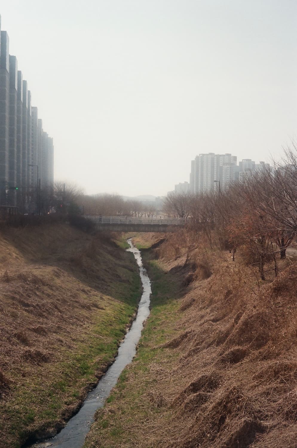 야시카 일렉트로 35GX 상품이미지7