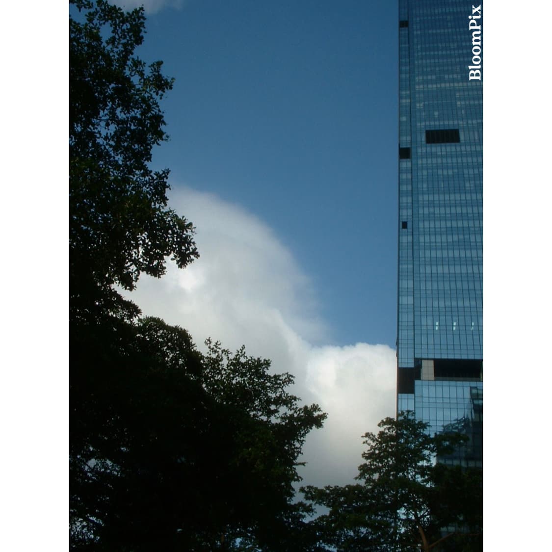 [극희귀/스미카리더기O] 후지필름 파인픽스 30i Fujifilm 30i 상품이미지2