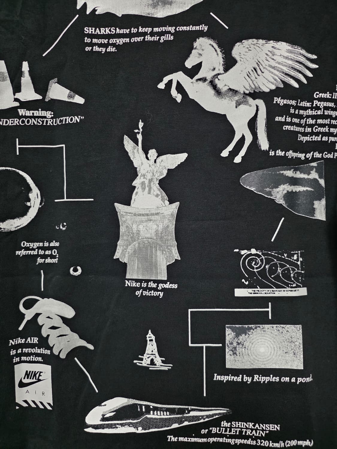 나이키 페가수스 티셔츠 블랙 m 상품이미지3