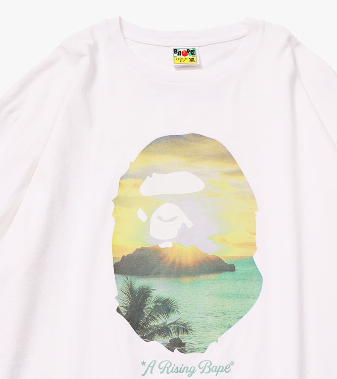 BAPE - A RISING BAPE PHOTO T SHIRT 상품이미지3