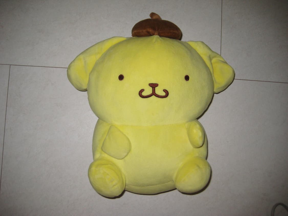 캐논 익서스 70(익시10) 상품이미지7