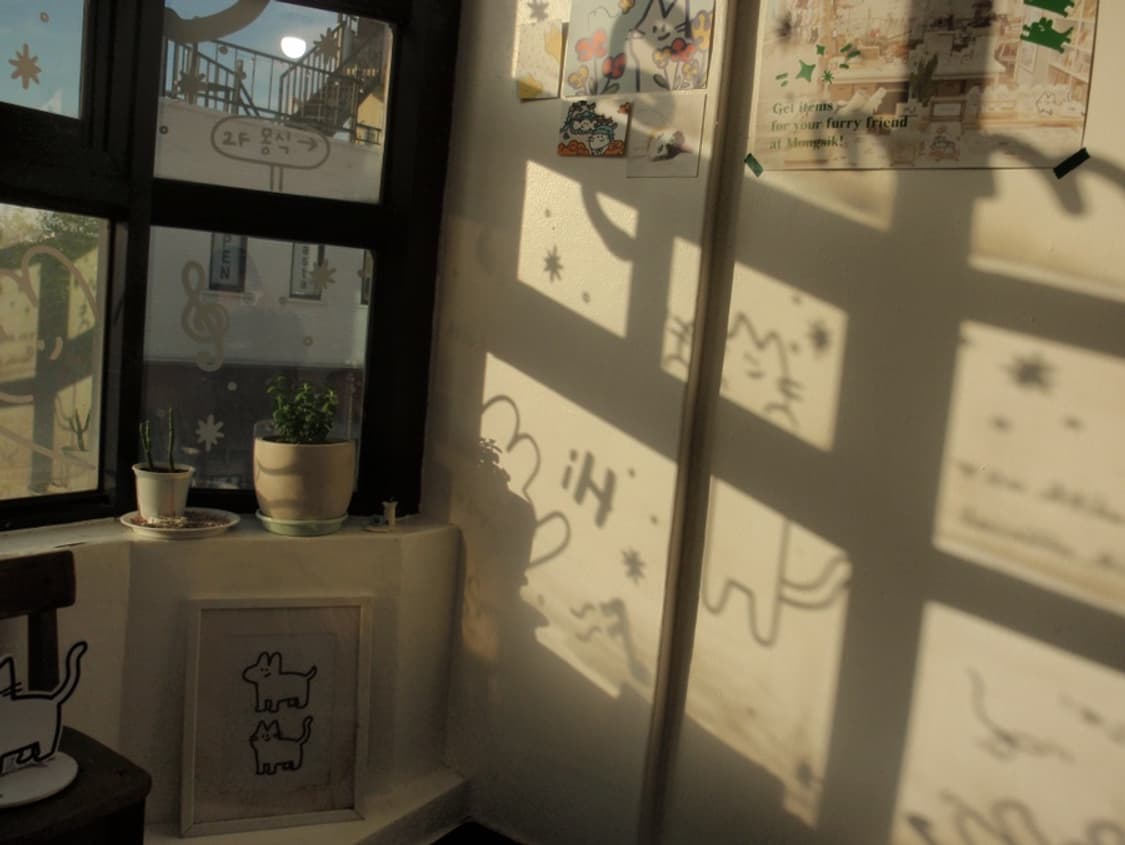 올림푸스 뮤9000 디카 (빈티지 카메라) 상품이미지8