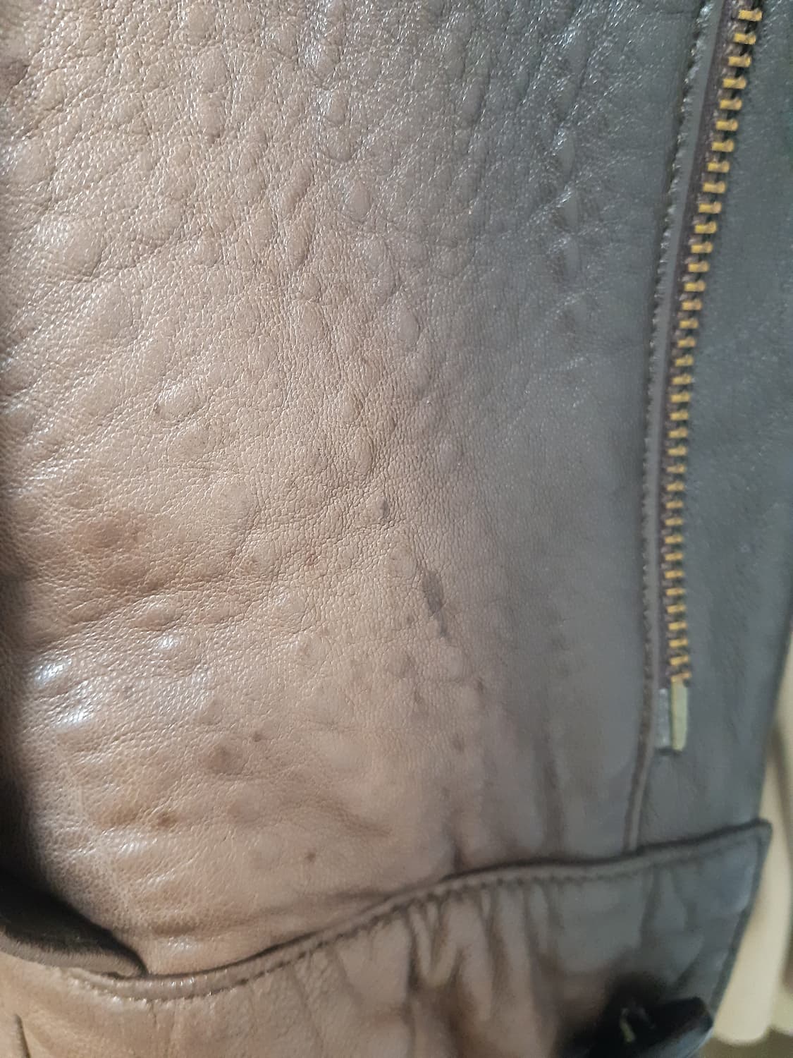 Patricia 레더 붐버 상품이미지5