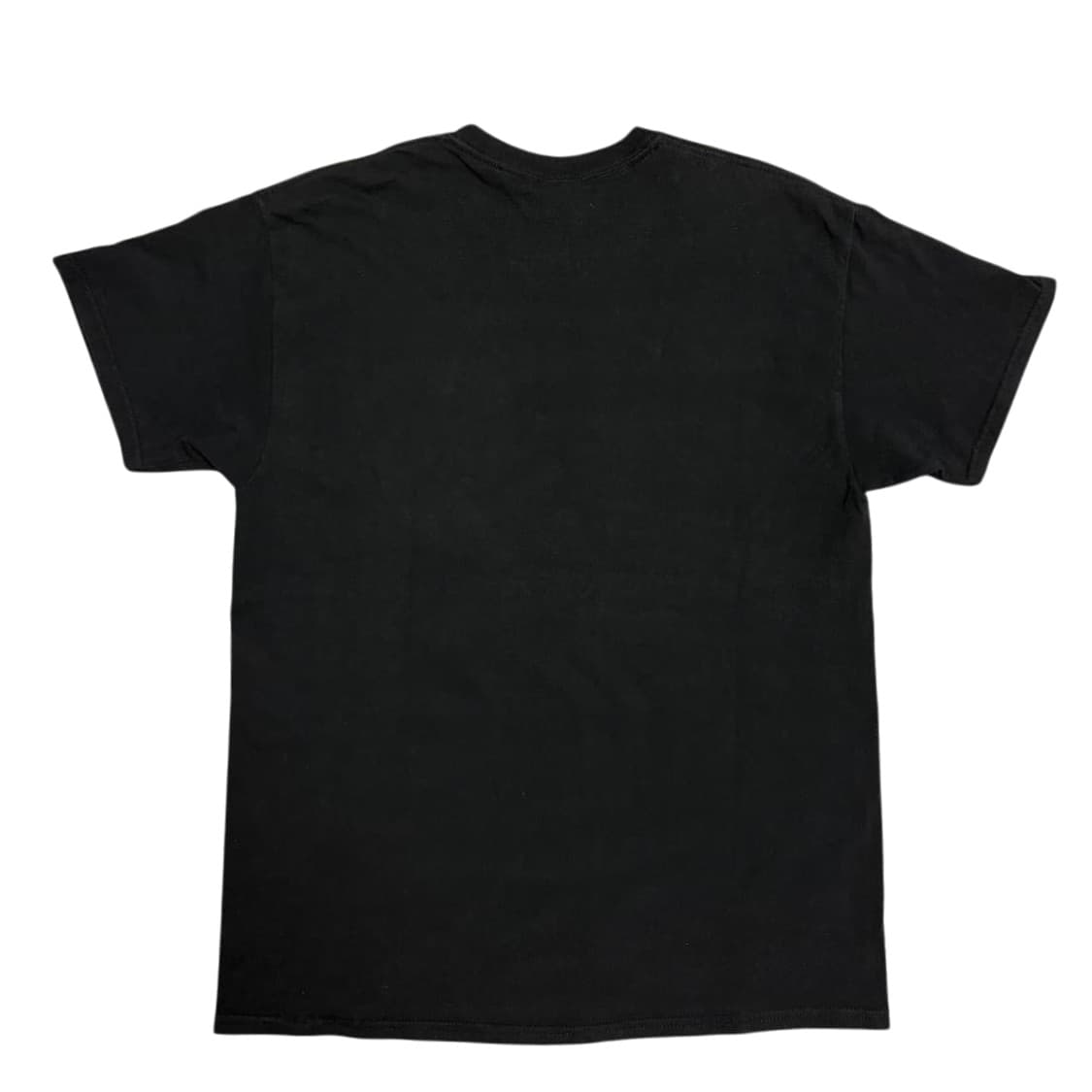 (L) 랩티x투팍 RAPTEES x 2PAC GHETTO GOSPEL반팔 상품이미지3