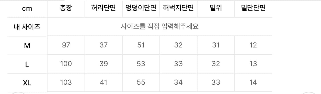 챔피온 리버스 위브 스웨트 팬츠 XL 새제품 상품이미지4