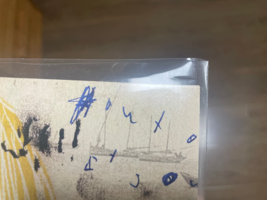 타일러 더 크리에이터 igor 한정반 크로마코피아 cd lp 상품이미지2