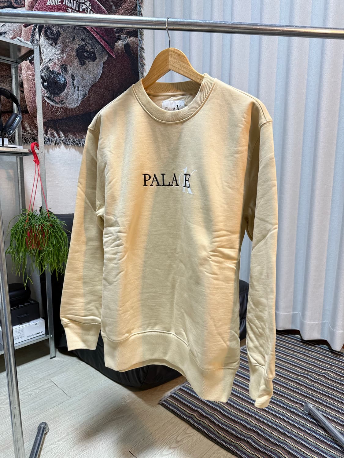 팔라스 캘빈클라인 맨투맨 상품이미지2