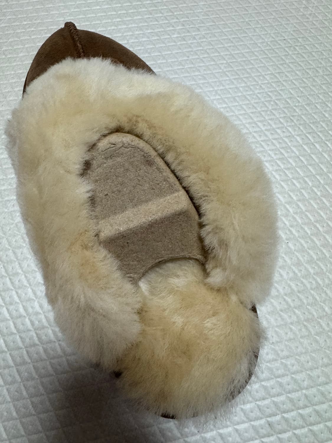 미국 어그 코케트 7사이즈(새상품) 상품이미지5