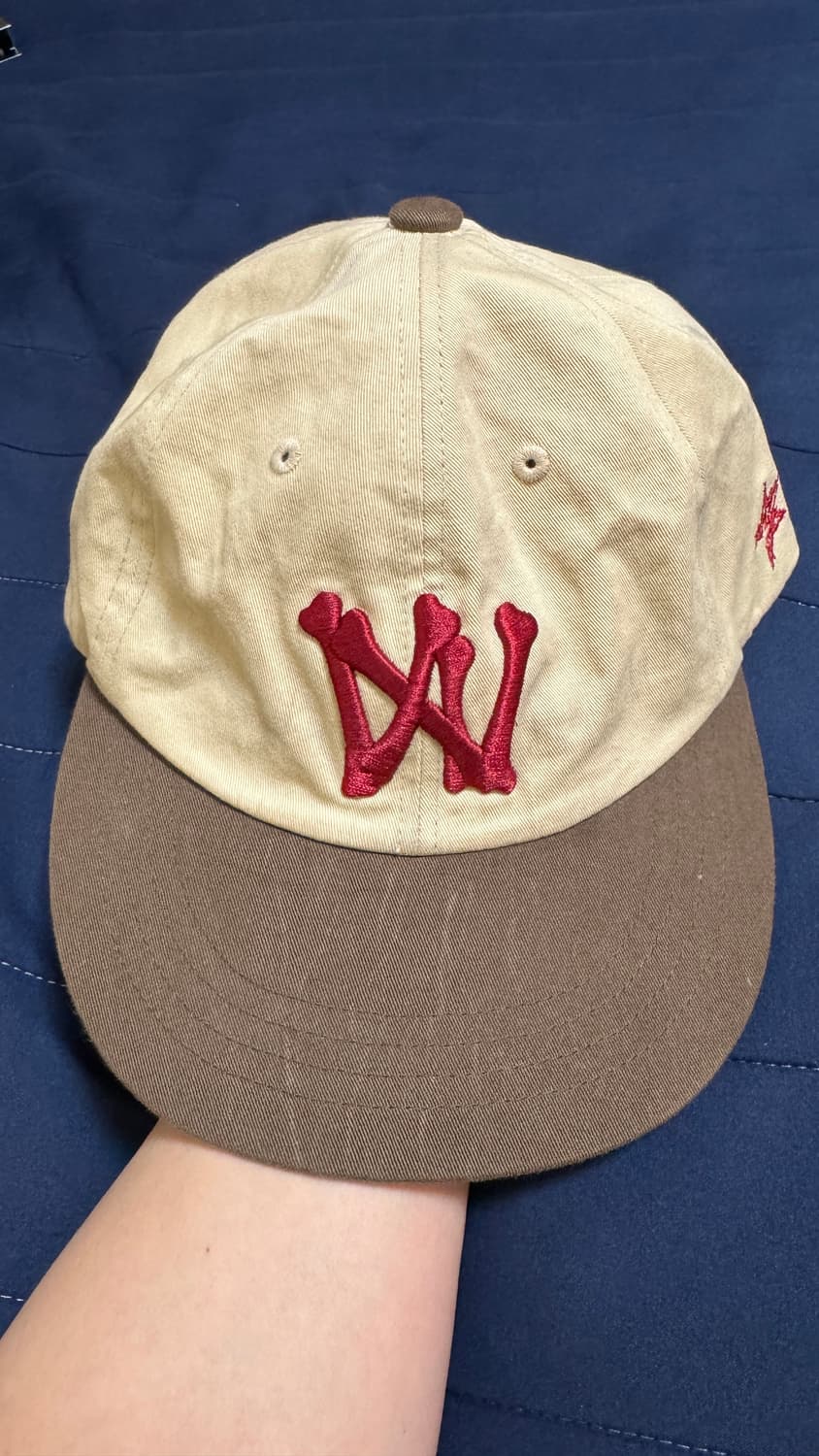 아오이로 6패널 캡 2종류 상품이미지6