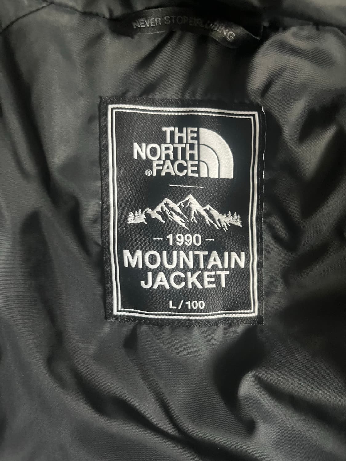 노스페이스 고어텍스 마운틴 자켓 상품이미지3