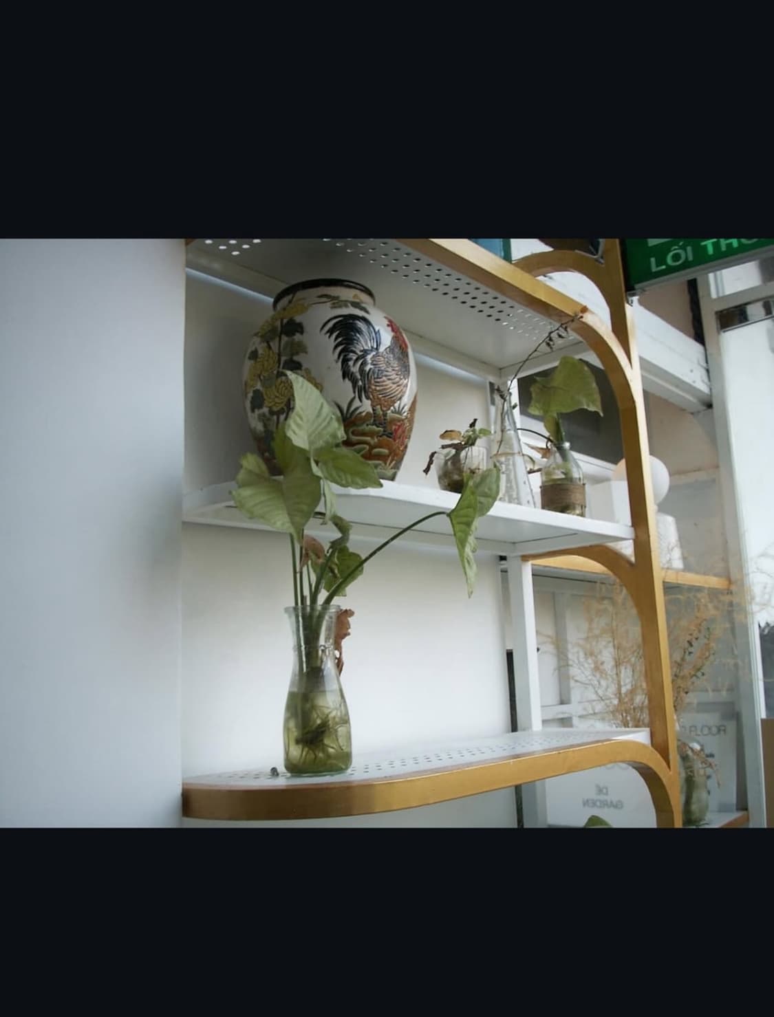 코니카 미놀타 디마지 x1 디지털카메라 상품이미지10