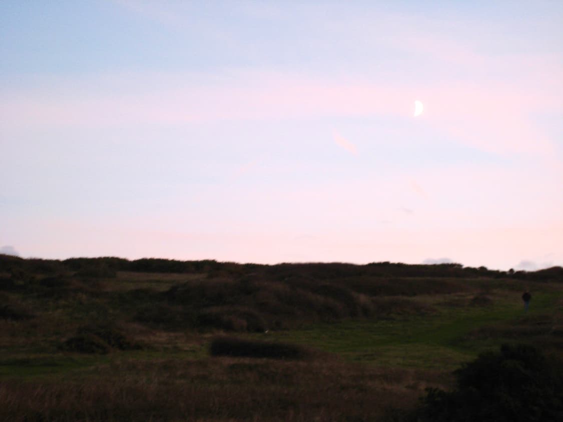 인플루언서&초희귀!) Canon IXUS 310 HS 디카 카메라 상품이미지2