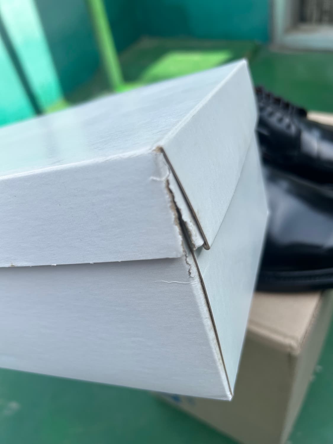 알든9901 9d (alden9901) 상품이미지6