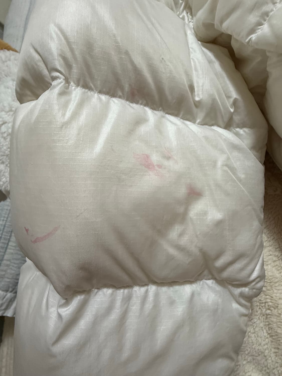 노스페이스 패딩 상품이미지4