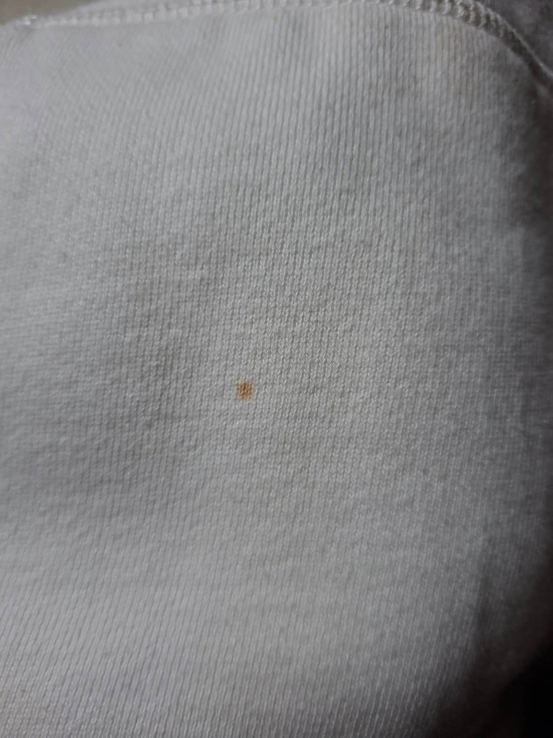 폴로 빅포니 치프키프 LXVII 후드티 상품이미지5