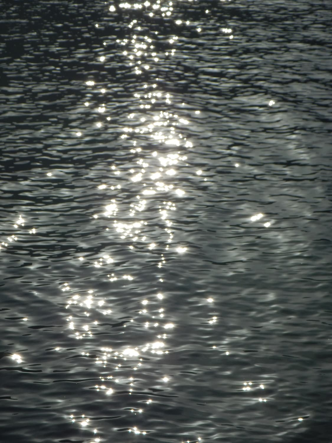 (작례O) 니콘 쿨픽스 AW100 상품이미지10