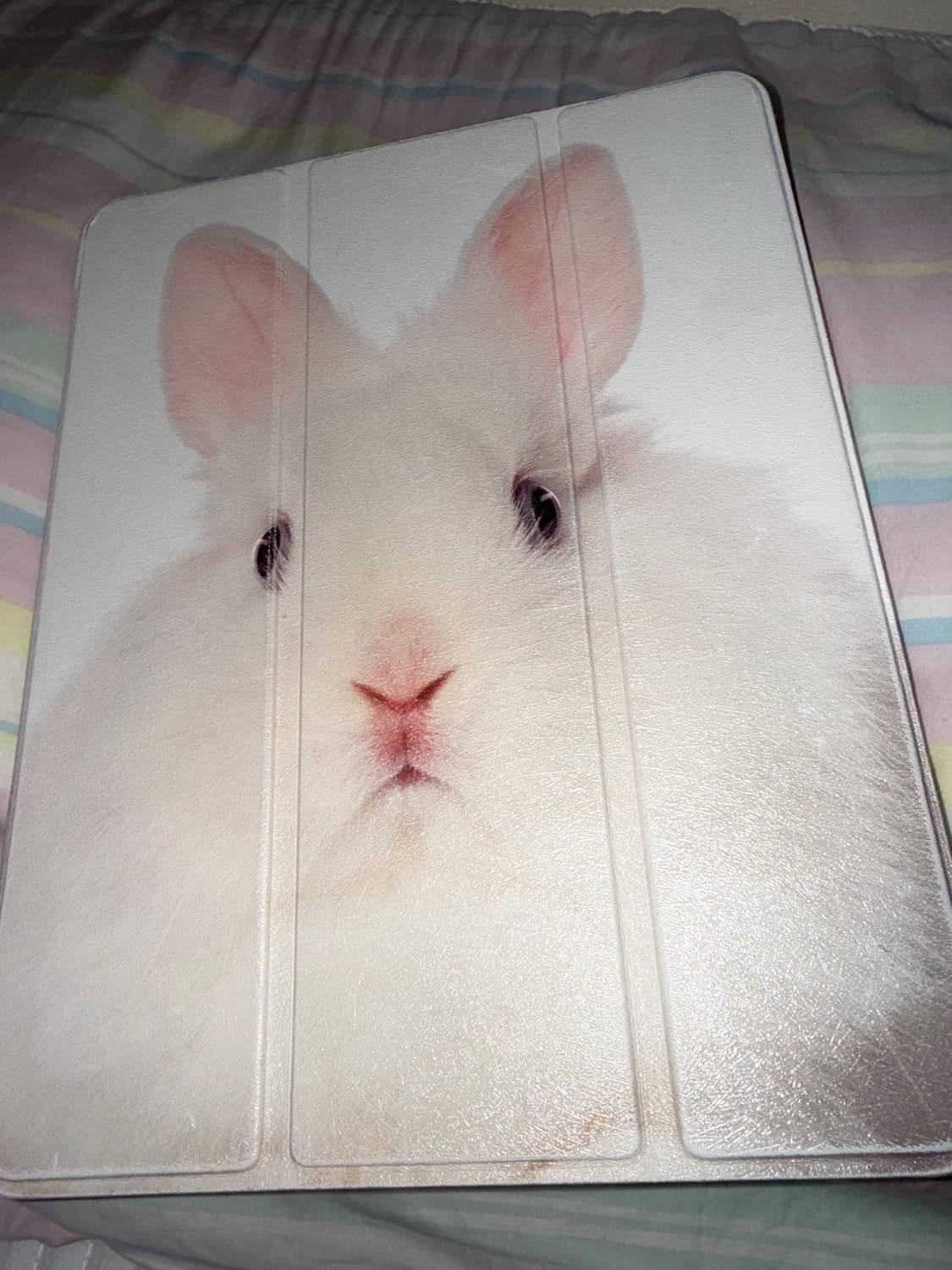 (최상급)아이패드 프로4세대 11 + 토끼 케이스 + 애플펜슬2세대 +  상품이미지1