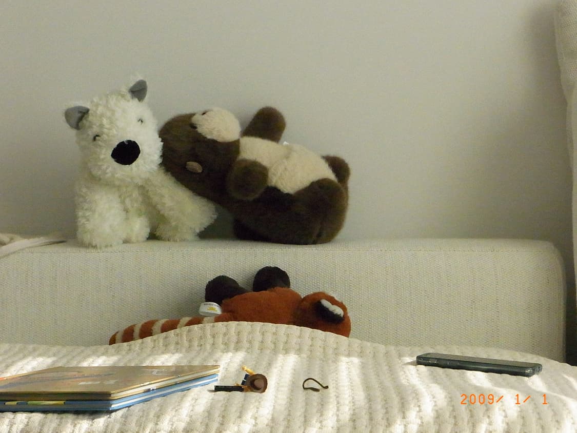 리코 RICOH CX1 상품이미지8