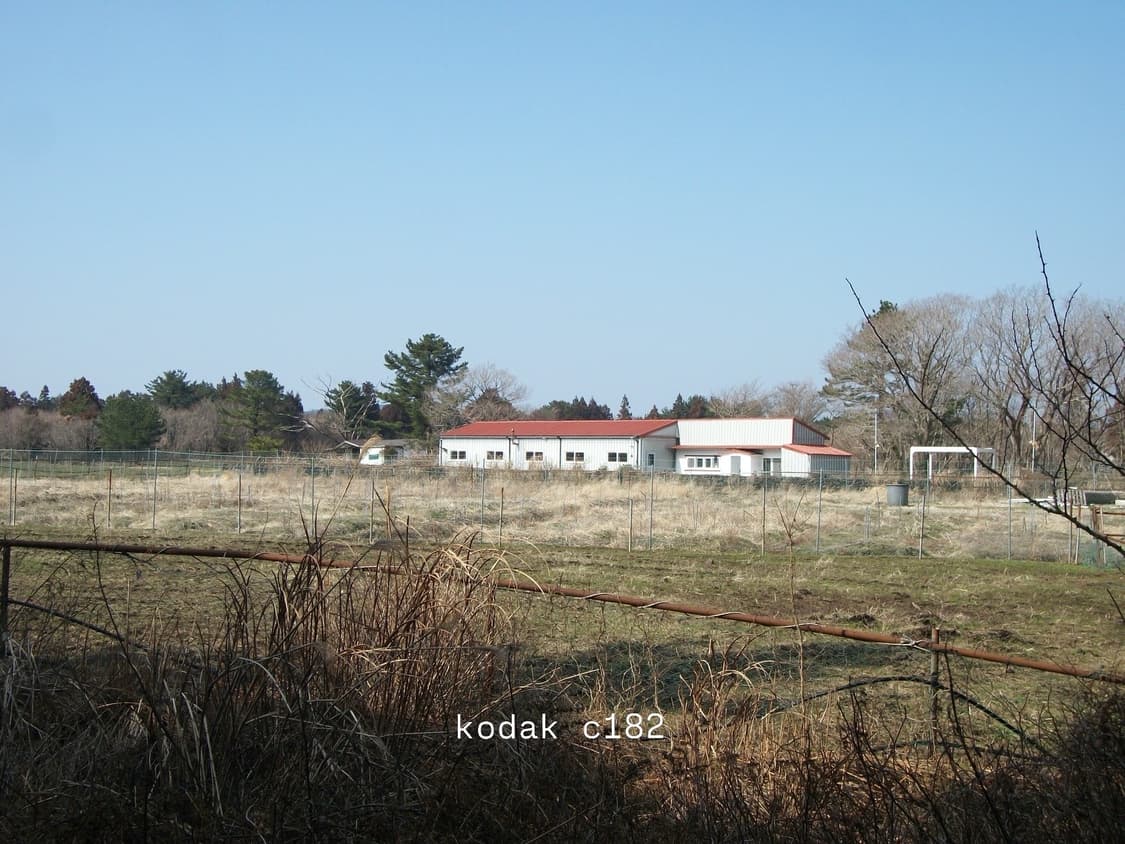 코닥 이지쉐어 C182 상품이미지6