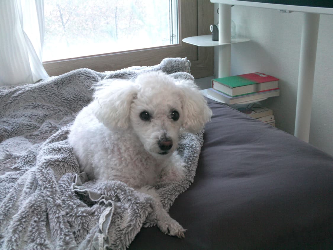 삼성 HMX -U10 빈티지 디지털카메라 캠코더 상품이미지8